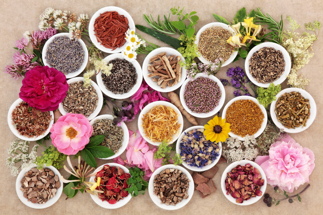 The most common herbs in Ayurveda